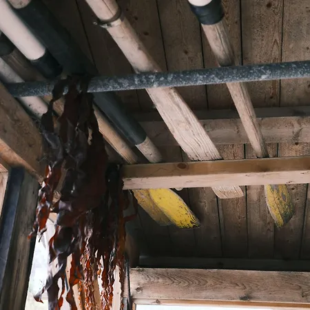 Stamsund Hostel ホステル スタムスンド